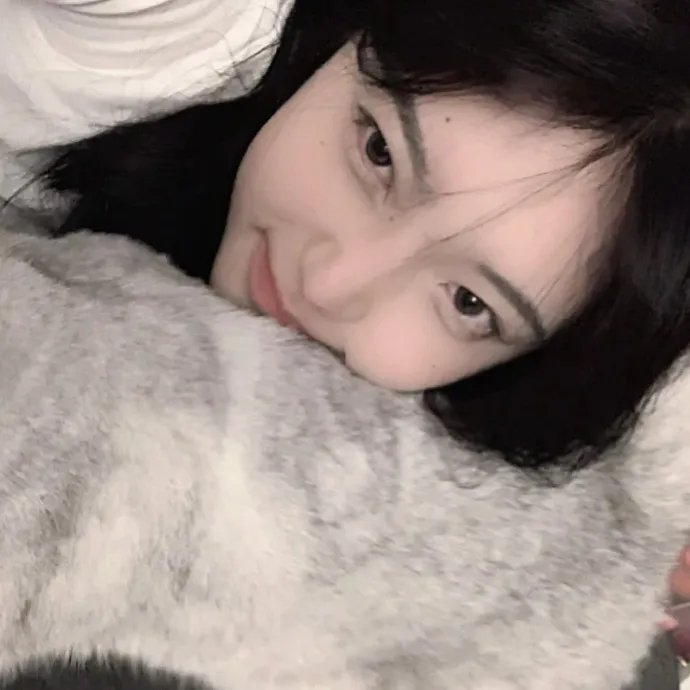 亲爱的总理